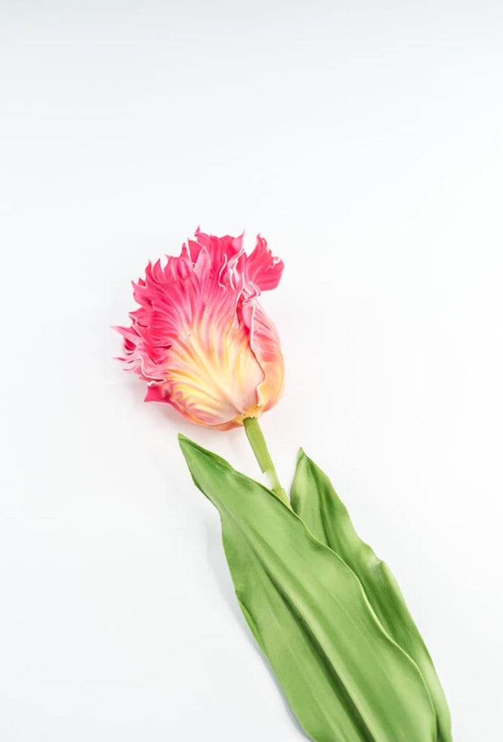 Artificial, pink & yellow, parrot tulip stem - Greenery MarketArtificial Flora2260032PY