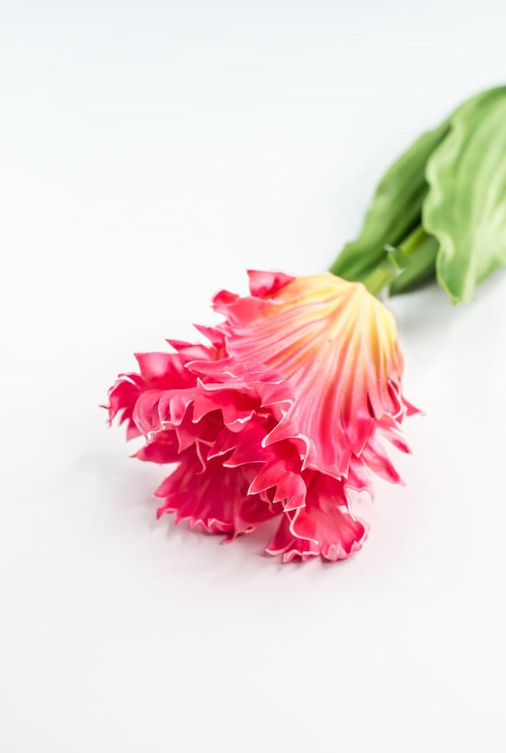 Artificial, pink & yellow, parrot tulip stem - Greenery MarketArtificial Flora2260032PY