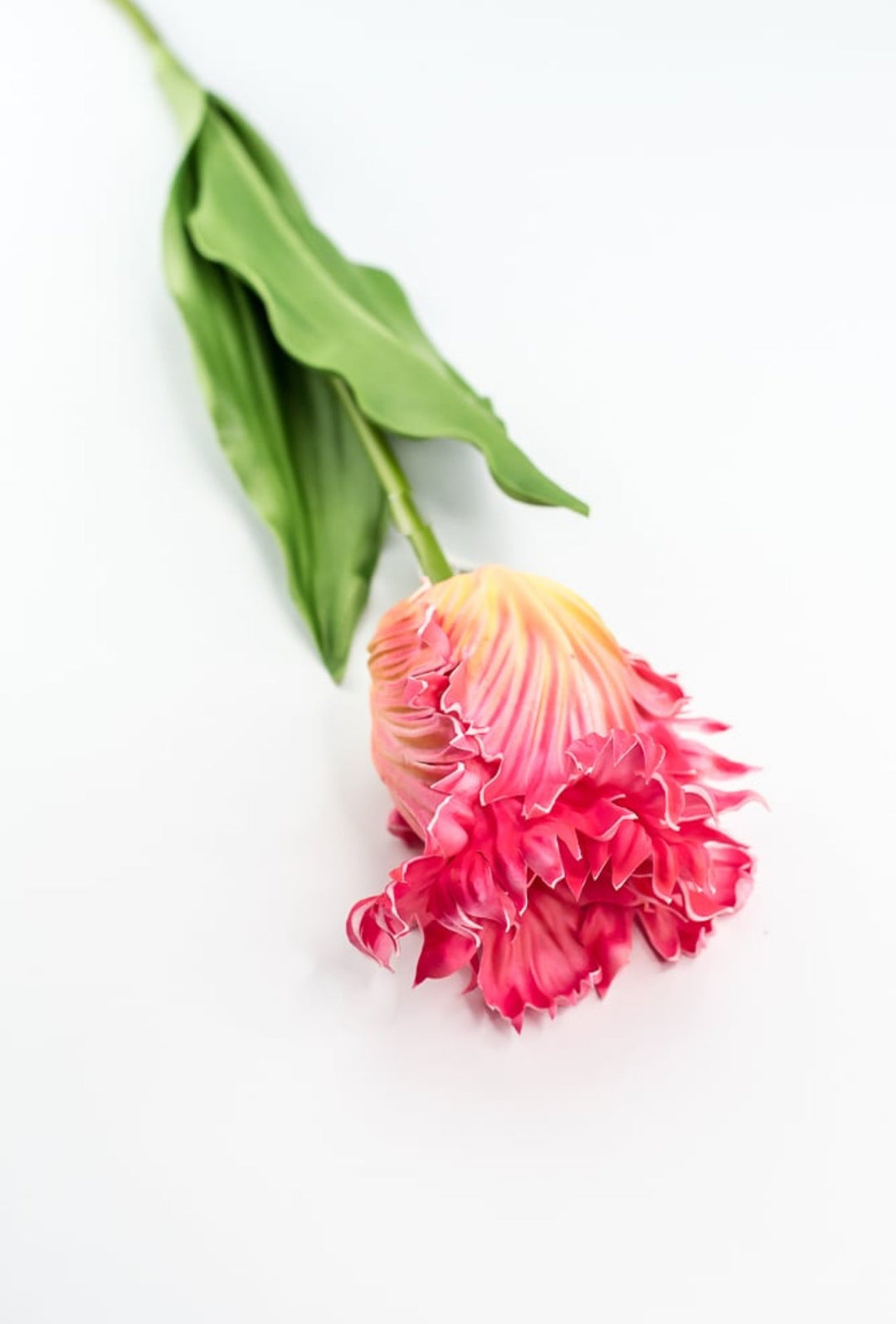 Artificial, pink & yellow, parrot tulip stem - Greenery MarketArtificial Flora2260032PY
