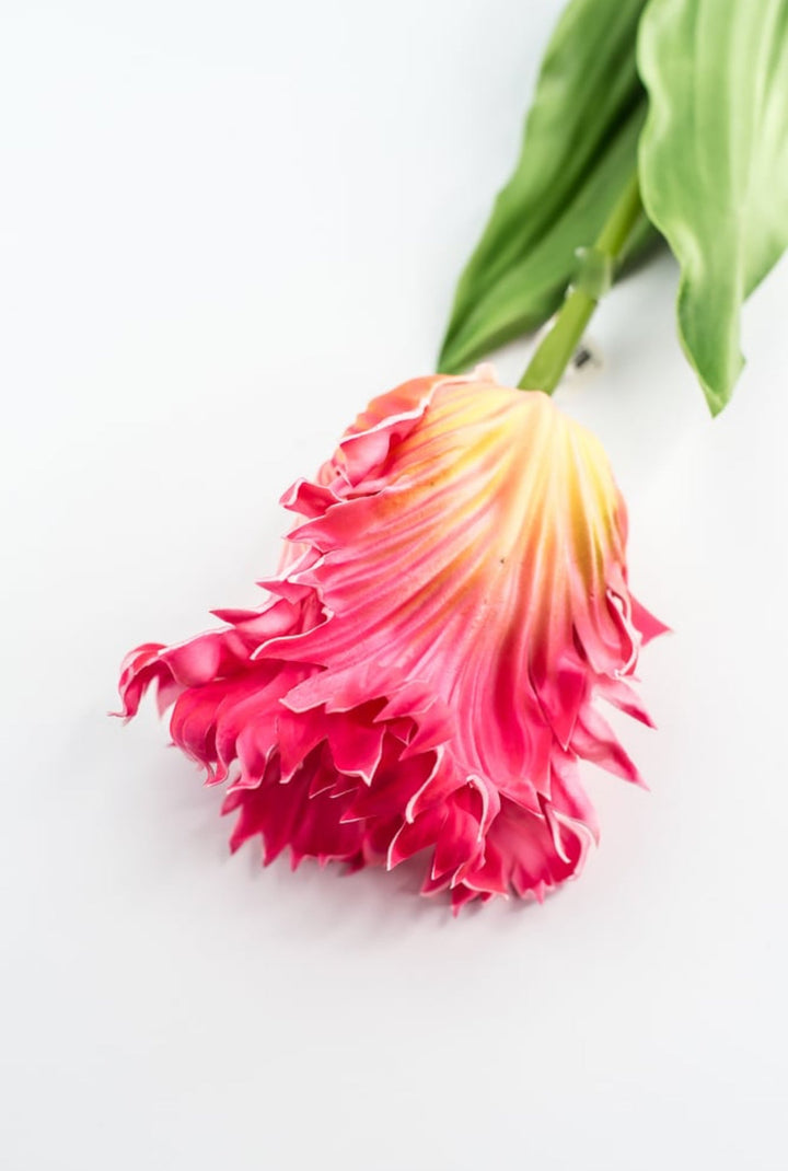 Artificial, pink & yellow, parrot tulip stem - Greenery MarketArtificial Flora2260032PY