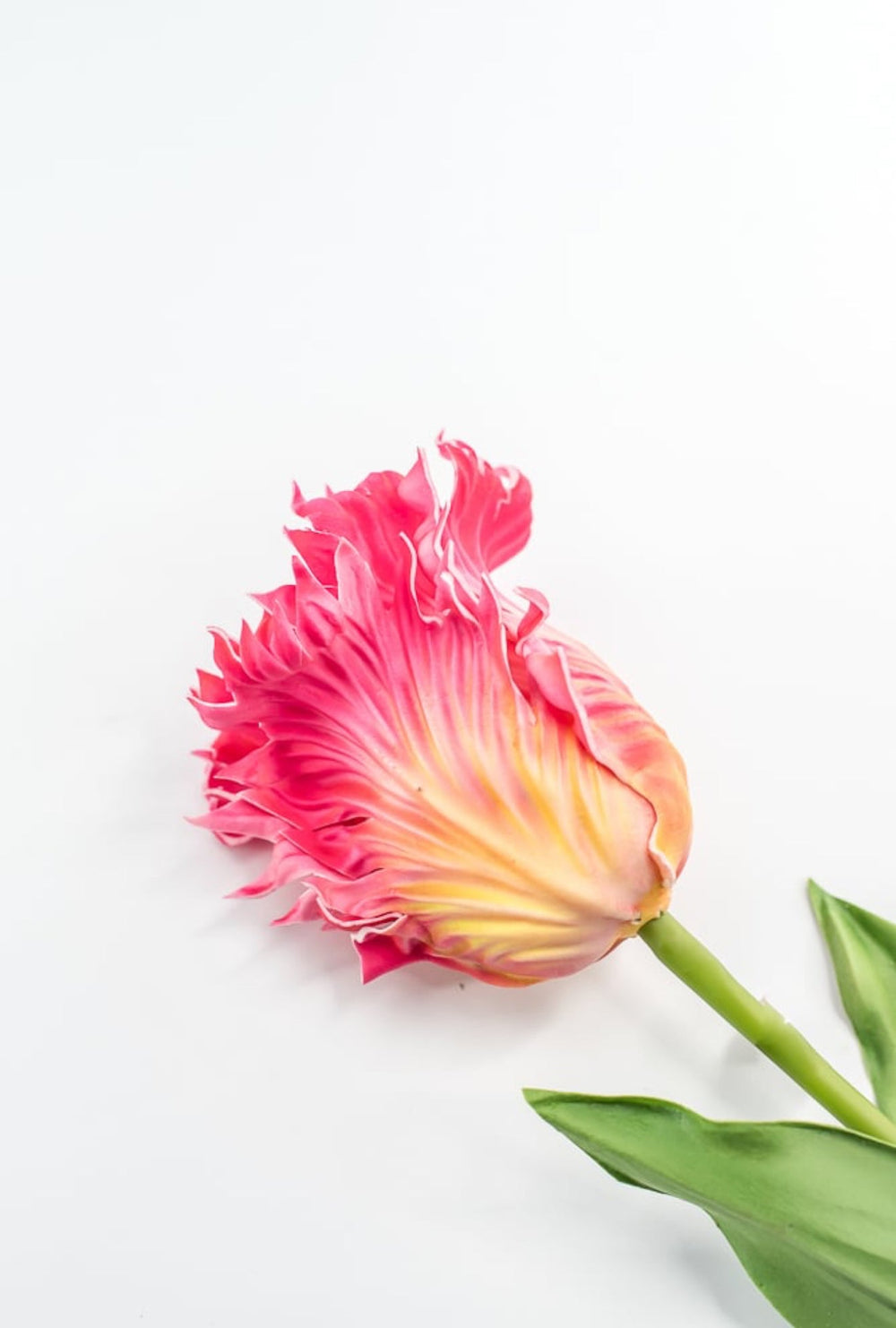 Artificial, pink & yellow, parrot tulip stem - Greenery MarketArtificial Flora2260032PY