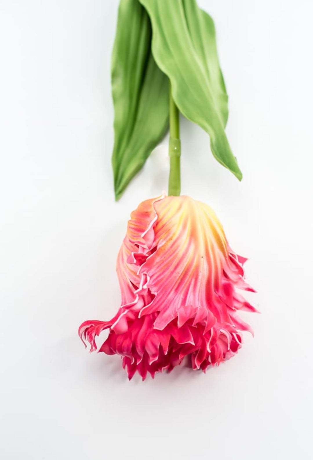 Artificial, pink & yellow, parrot tulip stem - Greenery MarketArtificial Flora2260032PY
