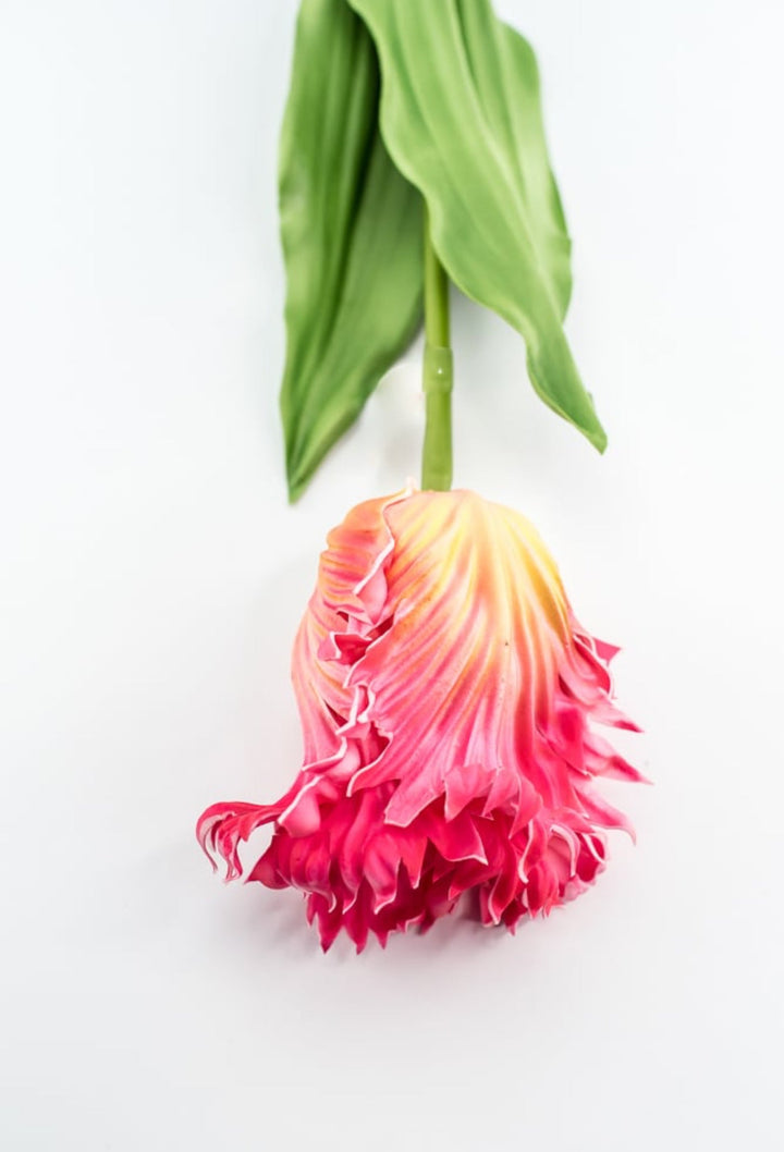 Artificial, pink & yellow, parrot tulip stem - Greenery MarketArtificial Flora2260032PY