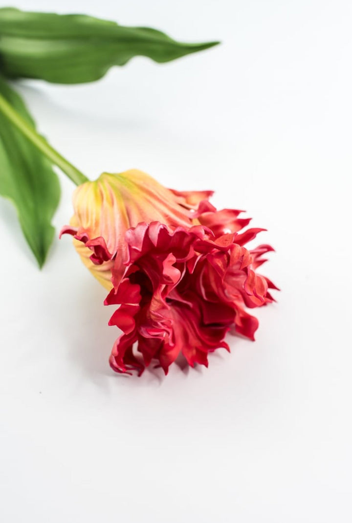 Artificial, red & yellow, parrot tulip stem - Greenery MarketArtificial Flora2260032RD