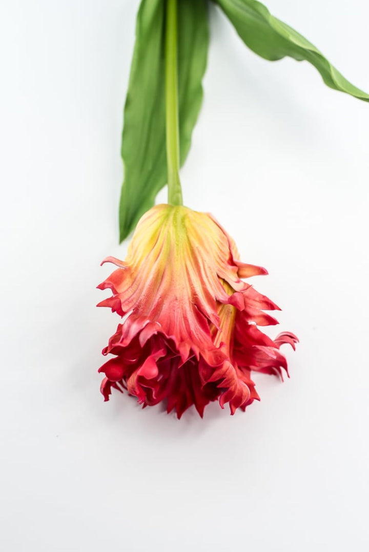 Artificial, red & yellow, parrot tulip stem - Greenery MarketArtificial Flora2260032RD