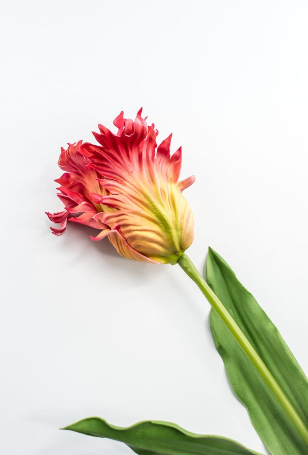 Artificial, red & yellow, parrot tulip stem - Greenery MarketArtificial Flora2260032RD