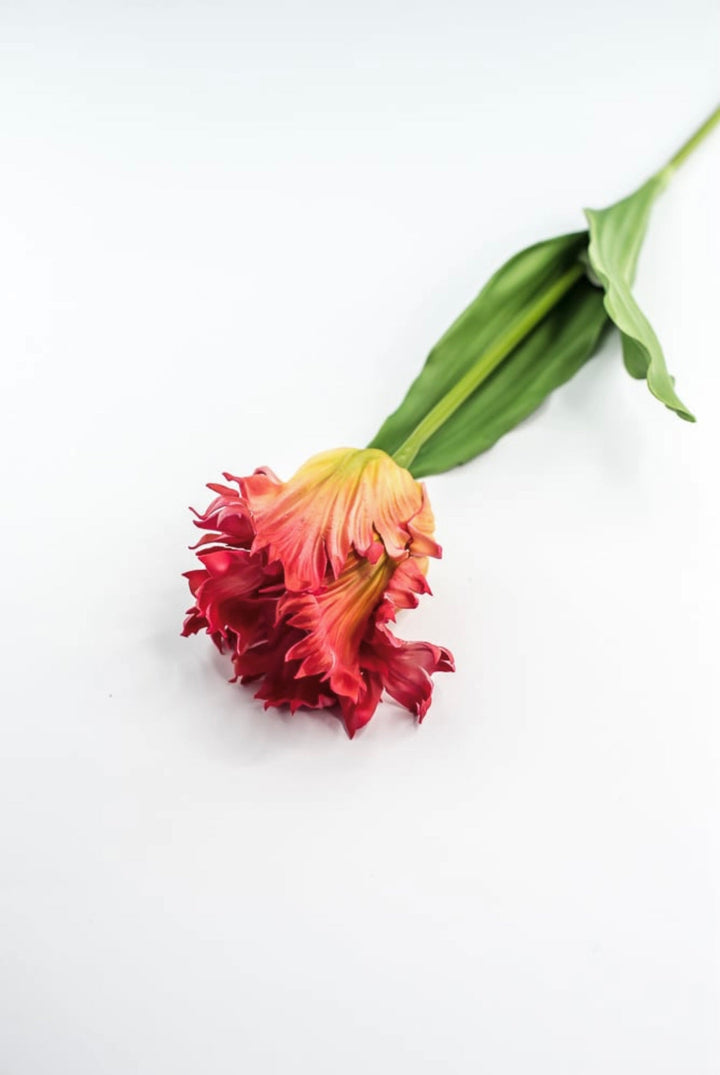 Artificial, red & yellow, parrot tulip stem - Greenery MarketArtificial Flora2260032RD