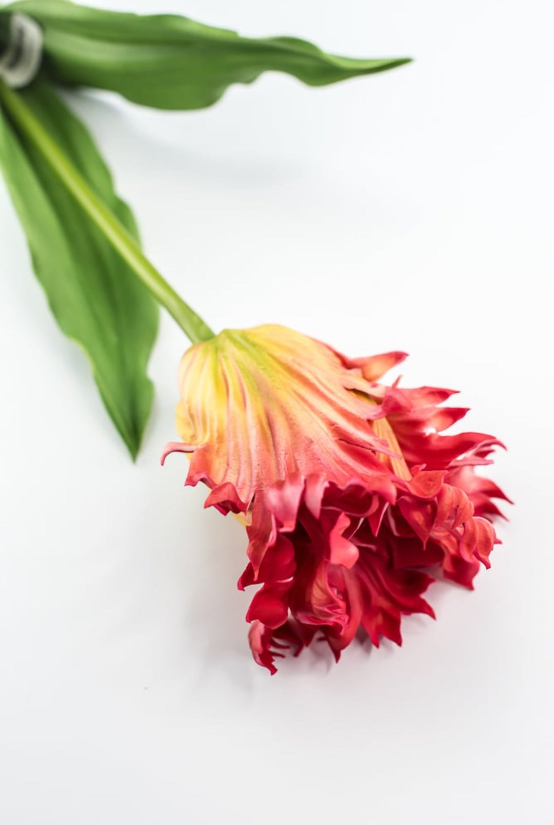 Artificial, red & yellow, parrot tulip stem - Greenery MarketArtificial Flora2260032RD