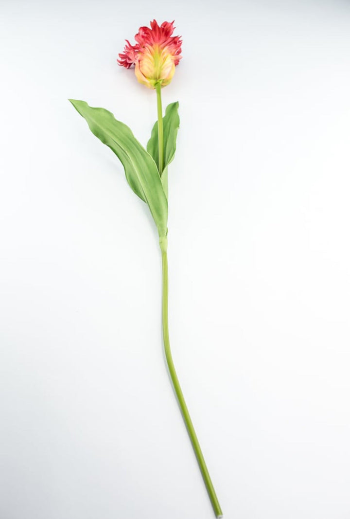 Artificial, red & yellow, parrot tulip stem - Greenery MarketArtificial Flora2260032RD