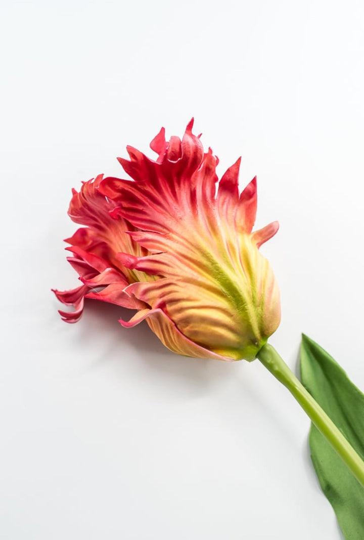 Artificial, red & yellow, parrot tulip stem - Greenery MarketArtificial Flora2260032RD