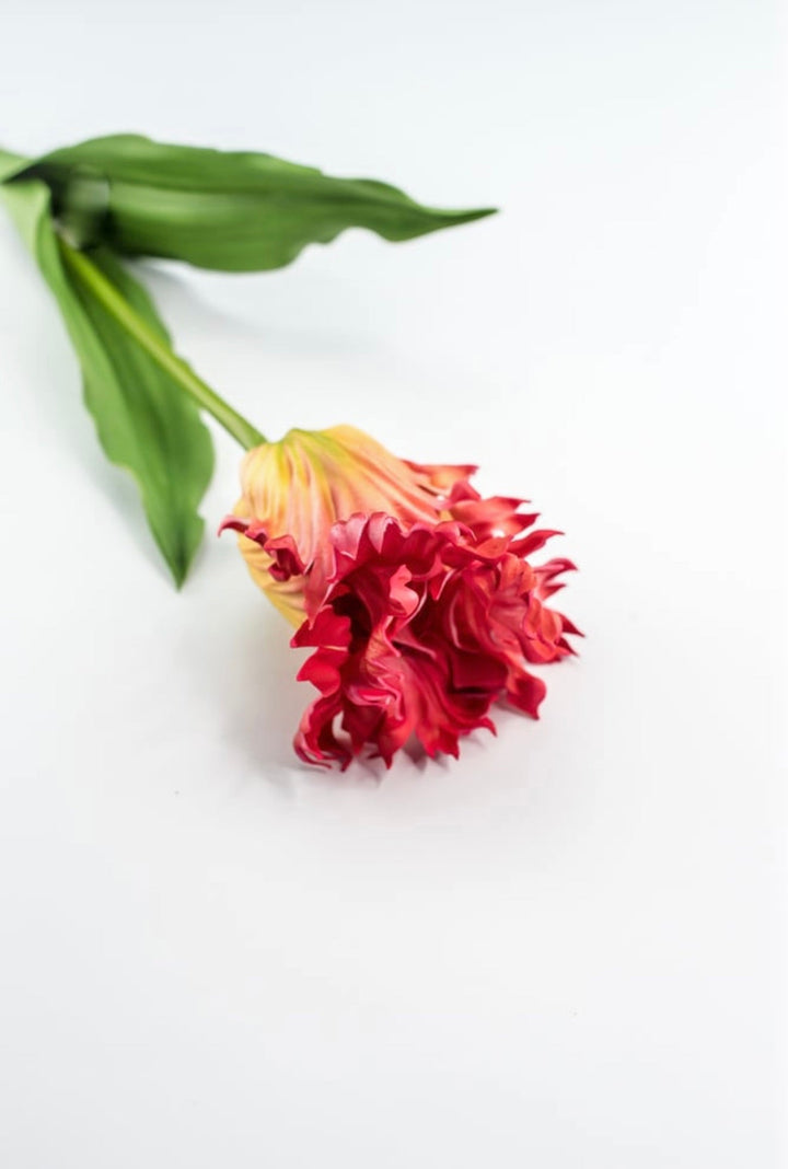 Artificial, red & yellow, parrot tulip stem - Greenery MarketArtificial Flora2260032RD