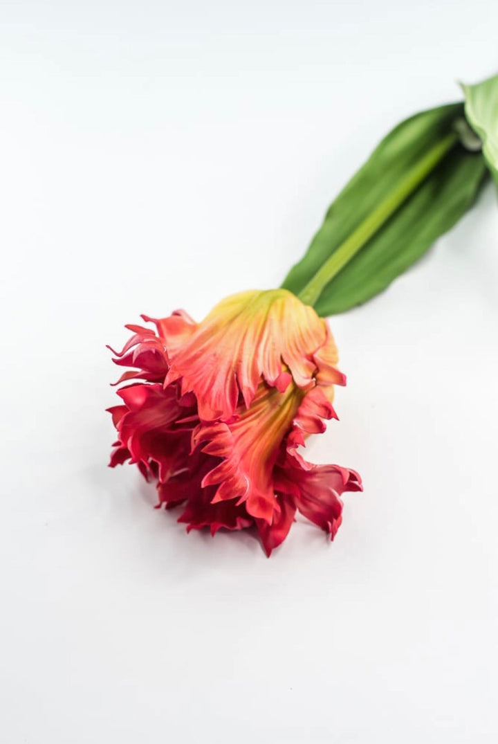 Artificial, red & yellow, parrot tulip stem - Greenery MarketArtificial Flora2260032RD
