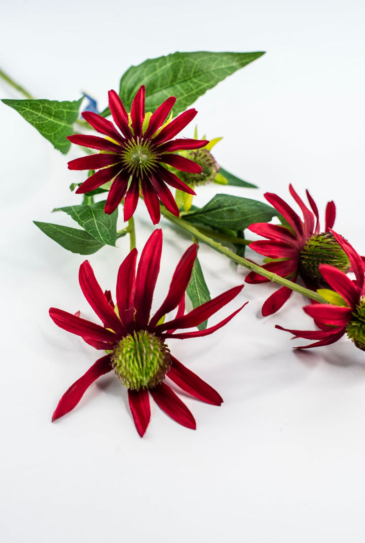 Artificial Rudbeckia Spray - Greenery MarketFSR490 - RE/BU