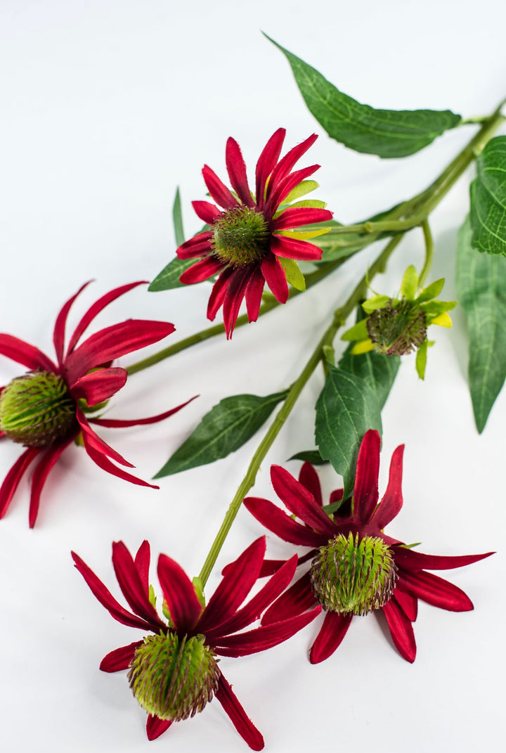 Artificial Rudbeckia Spray - Greenery MarketFSR490 - RE/BU