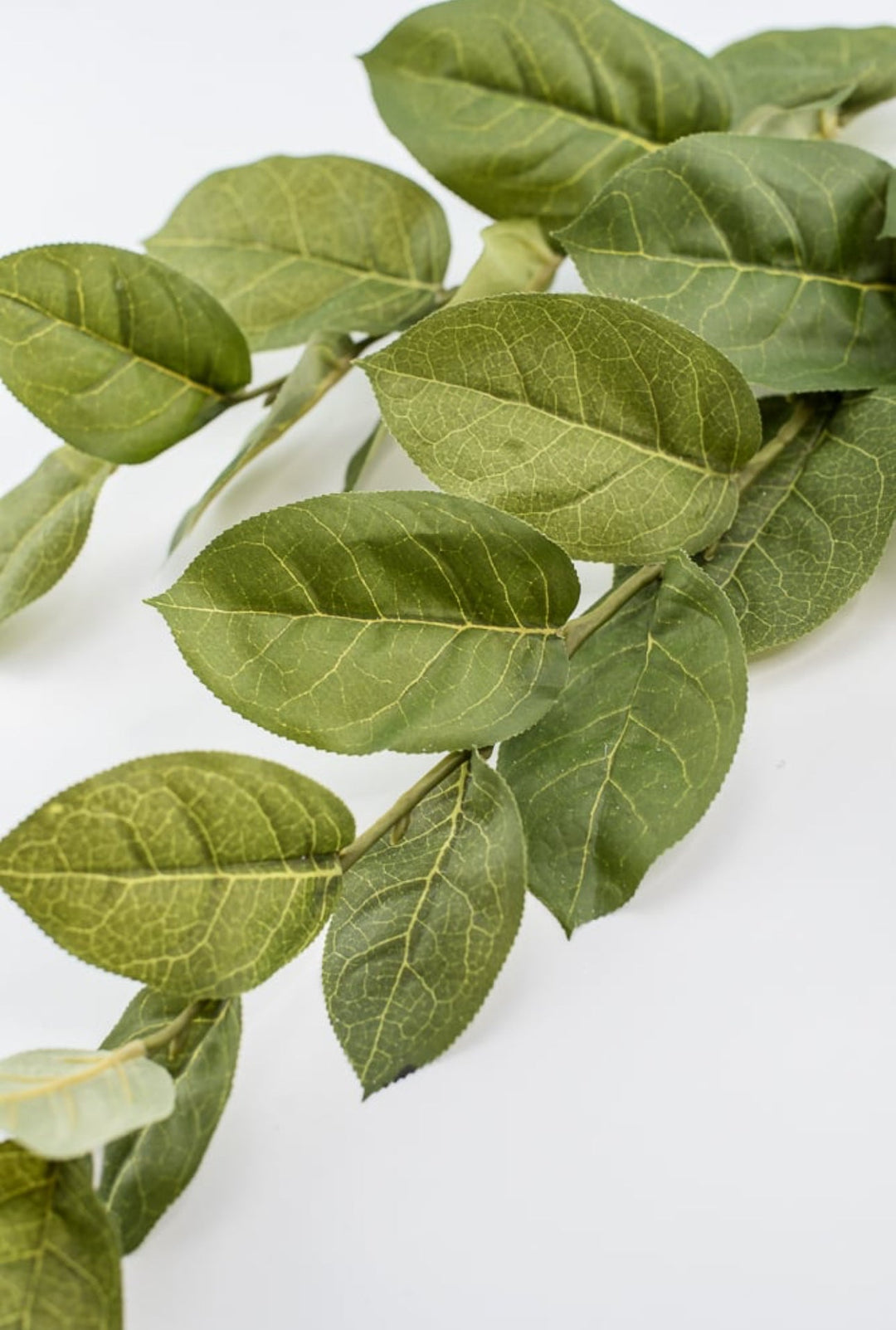 Artificial salal leaf spray - Greenery MarketFL5193 - g