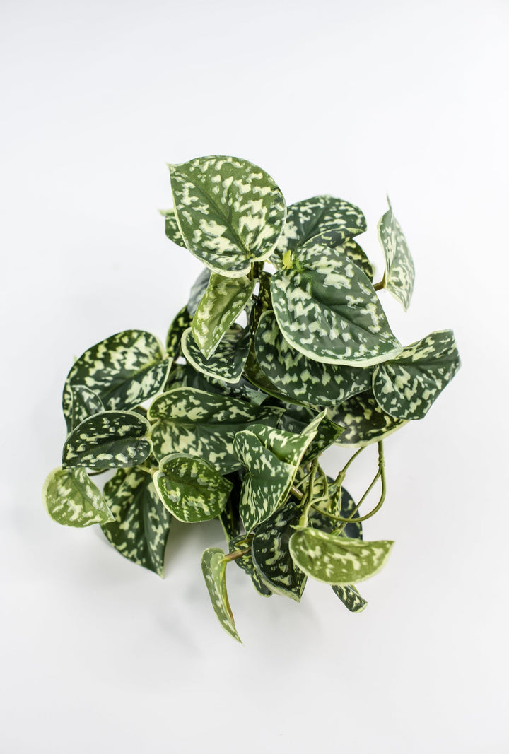 Artificial scindapsus bush - natural touch - Greenery MarketgreeneryMTF22885