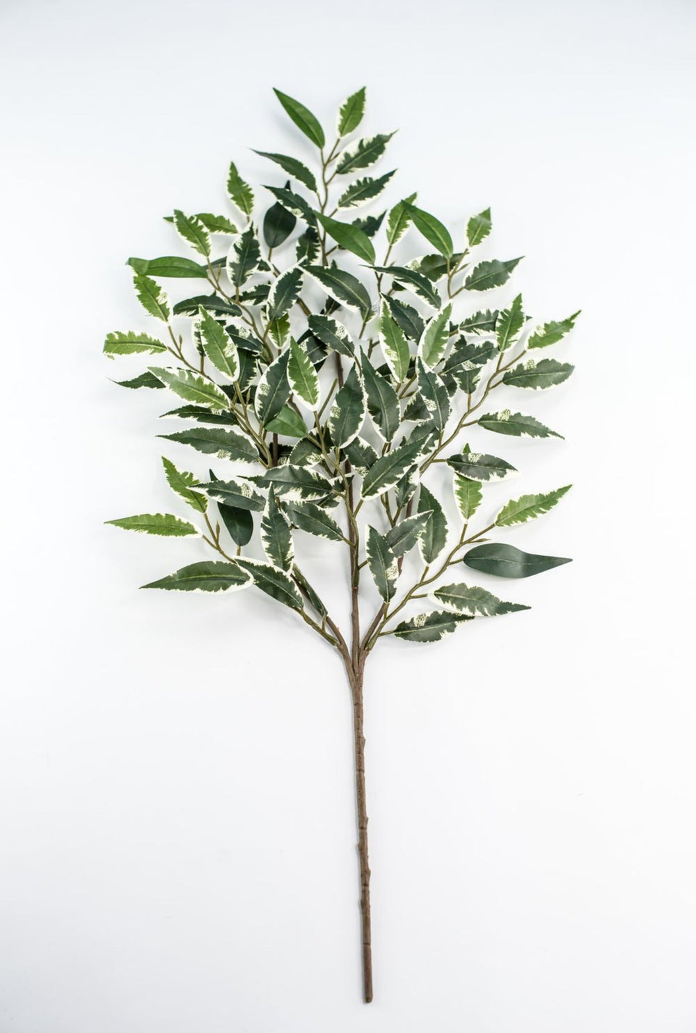 Artificial Smilax Spray - Greenery MarketQSS302 - VG