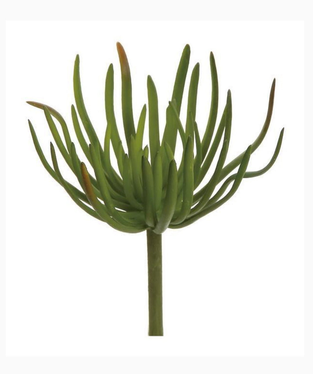 Artificial spike succulent pick - Greenery Market