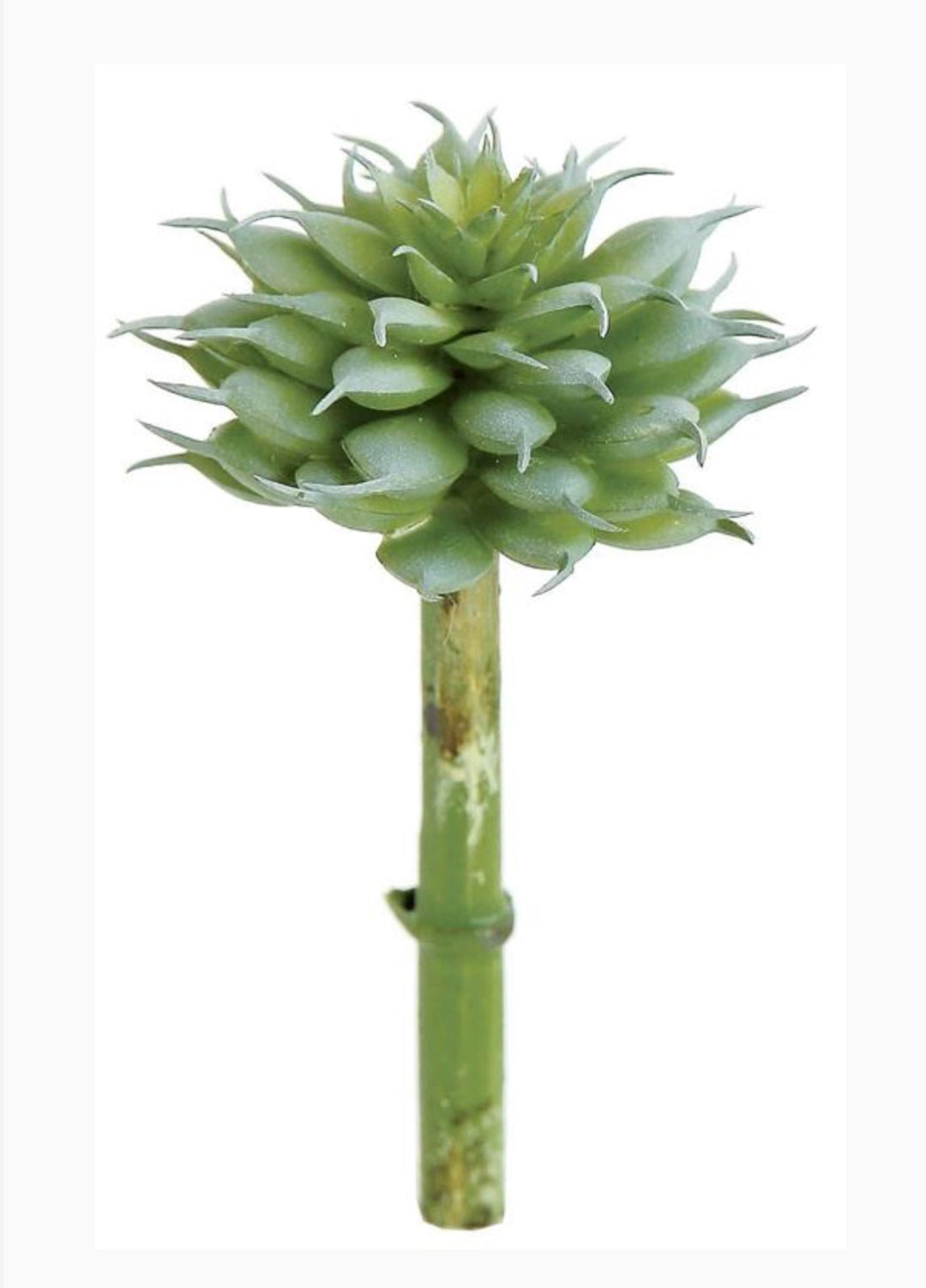 Artificial Spiny Succulent Pick - Greenery MarketFL4710 - SG
