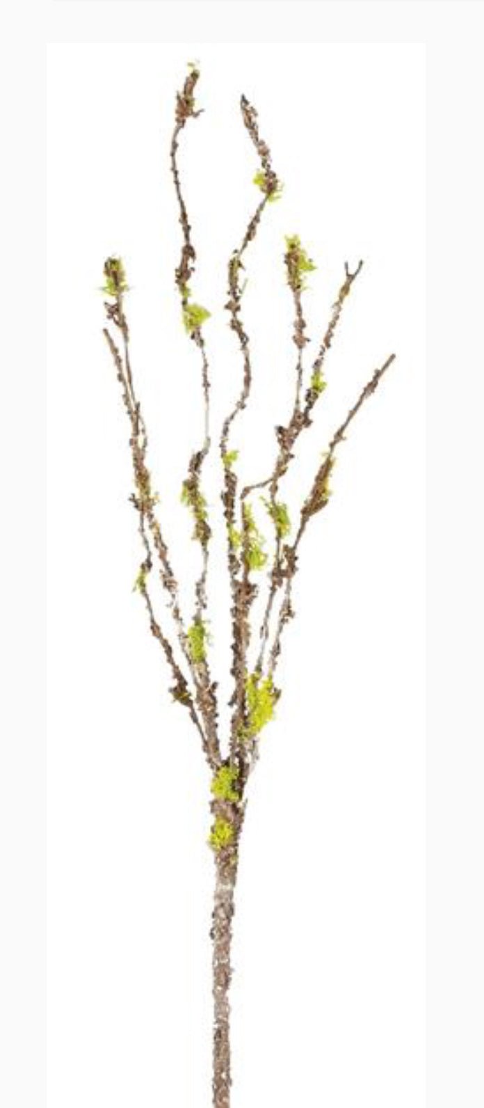 Artificial Twig Branch - Greenery MarketgreeneryS1582 - BRN