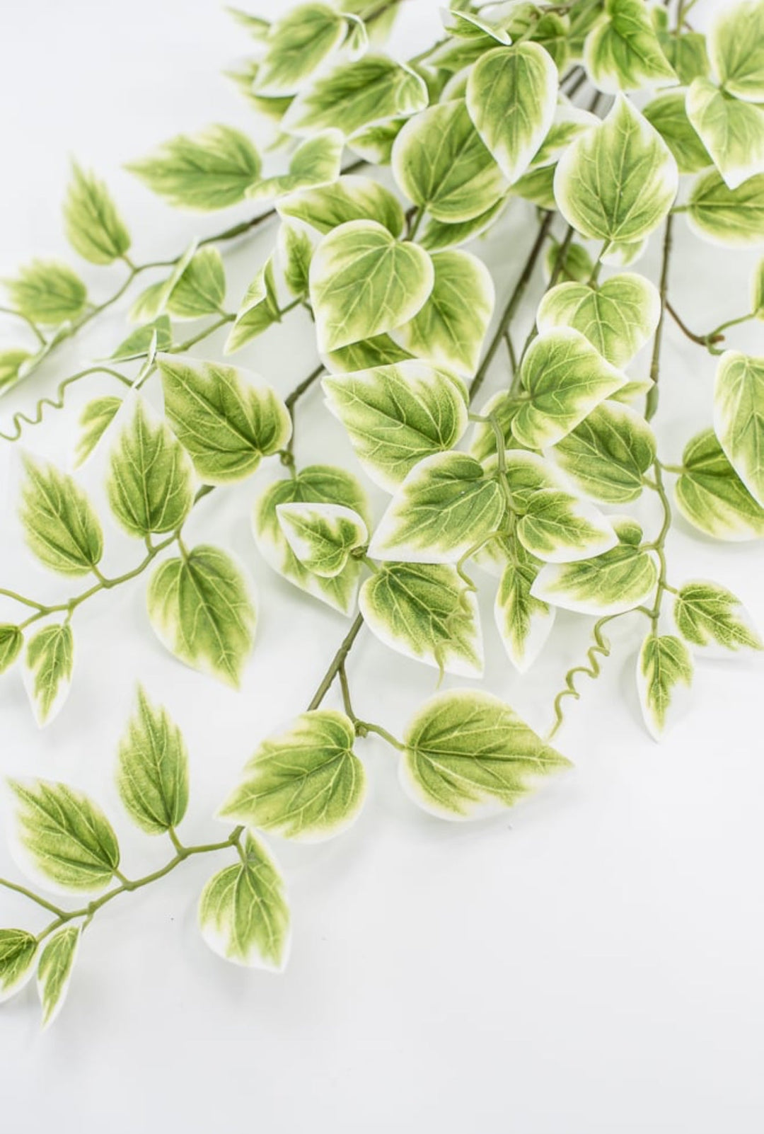Artificial vine leaf bush - Greenery MarketArtificial Flora13461VAGN
