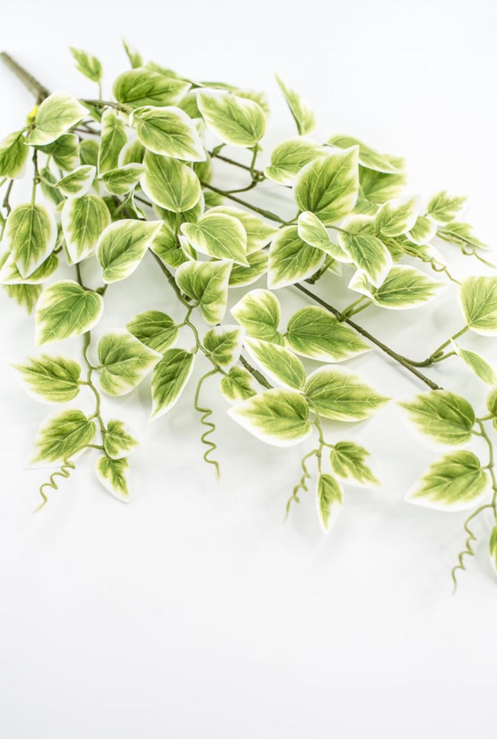 Artificial vine leaf bush - Greenery MarketArtificial Flora13461VAGN