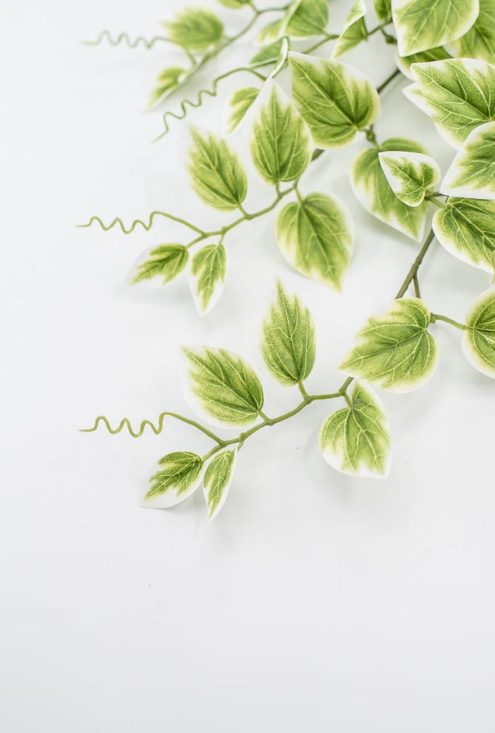 Artificial vine leaf bush - Greenery MarketArtificial Flora13461VAGN