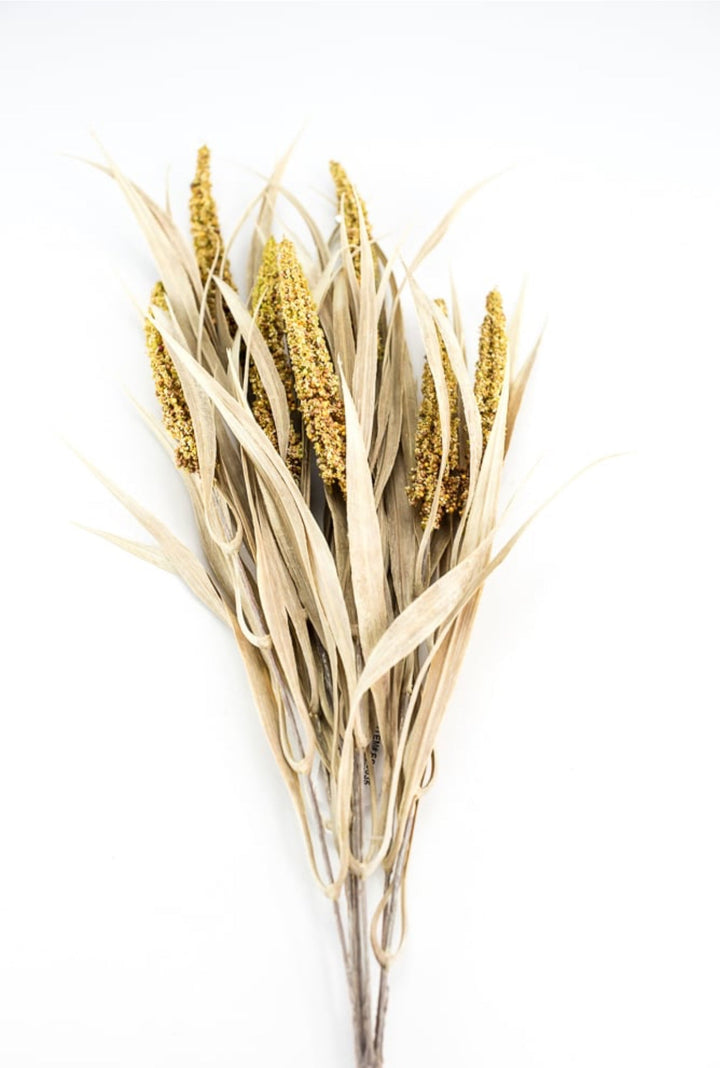 Artificial Wheat and seed bush - Greenery MarketArtificial FloraFS3635
