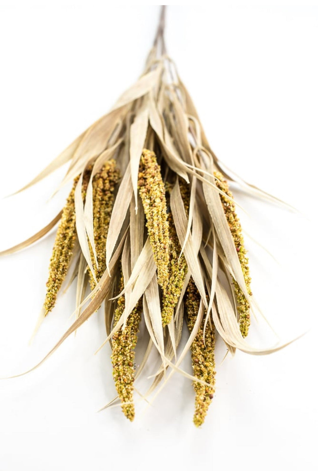 Artificial Wheat and seed bush - Greenery MarketArtificial FloraFS3635