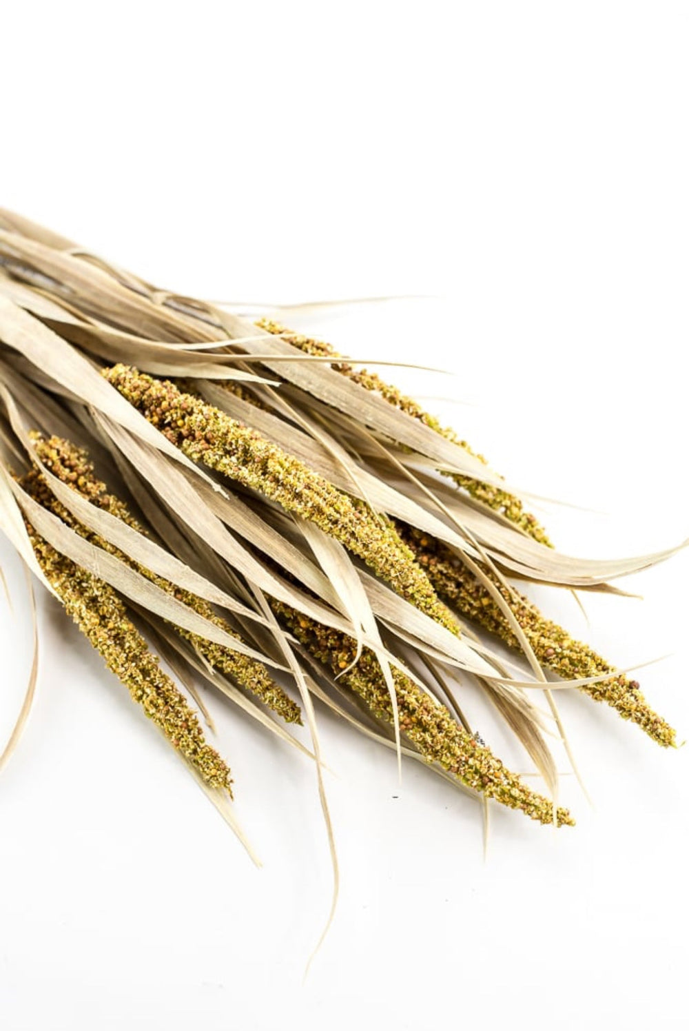 Artificial Wheat and seed bush - Greenery MarketArtificial FloraFS3635