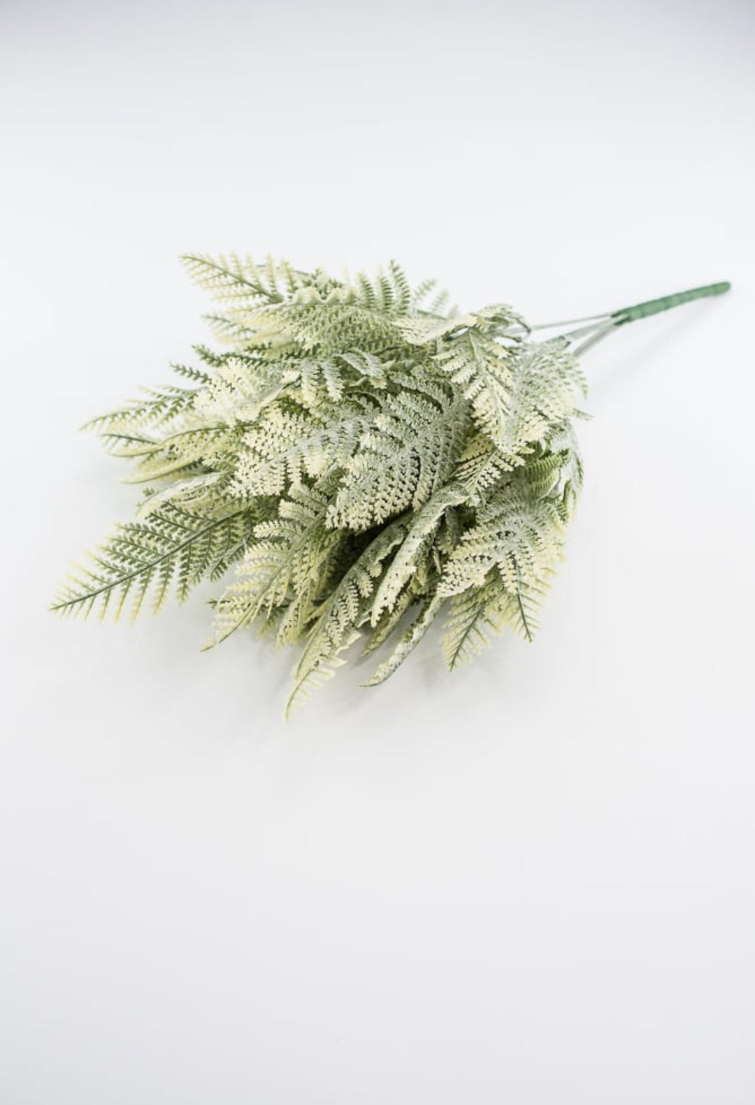 Artificial Winter leather leaf fern - lightly flocked - Greenery Marketgreenery81821