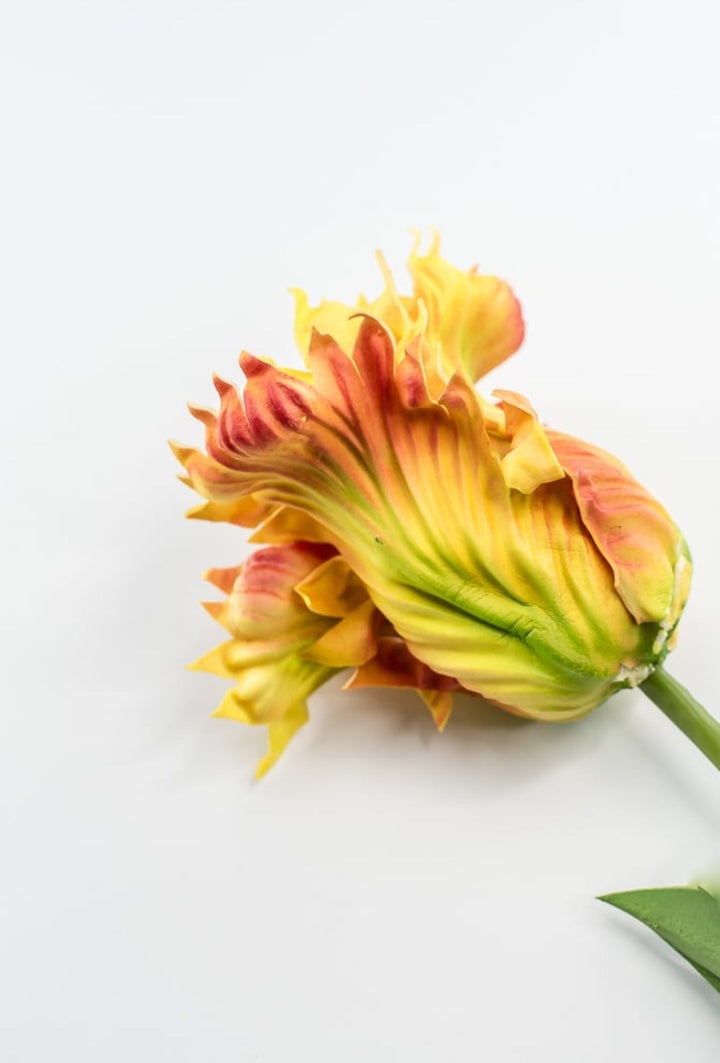 Artificial, yellow, parrot tulip stem - Greenery MarketArtificial Flora2260032YL