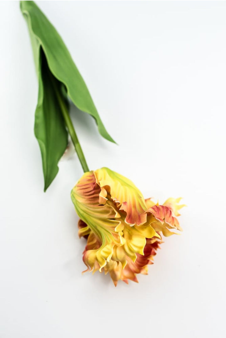 Artificial, yellow, parrot tulip stem - Greenery MarketArtificial Flora2260032YL