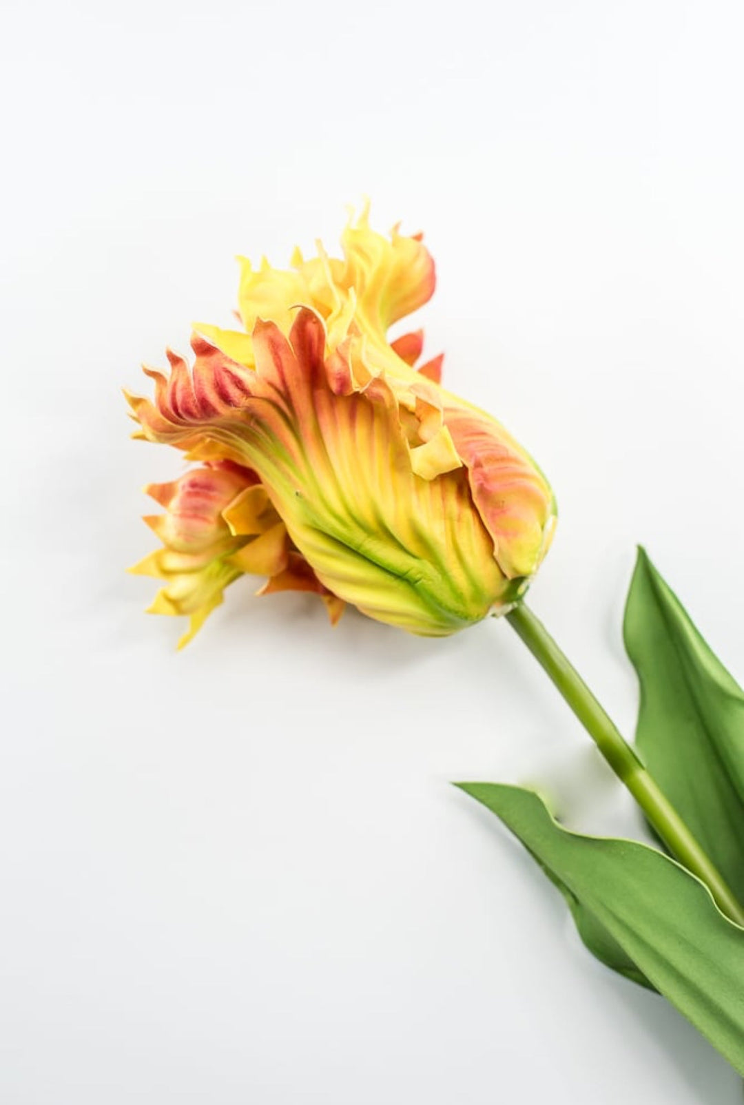 Artificial, yellow, parrot tulip stem - Greenery MarketArtificial Flora2260032YL