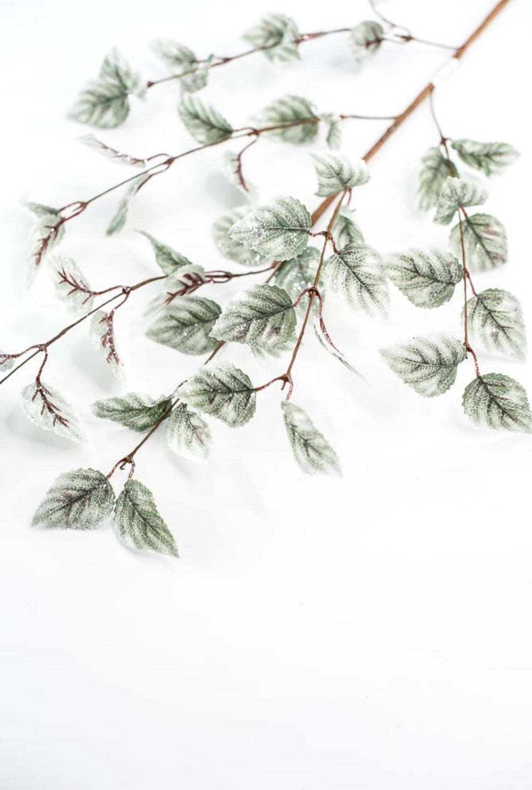 Aspen iced leaves spray - cool green - Greenery MarketMTX68982 GYGR