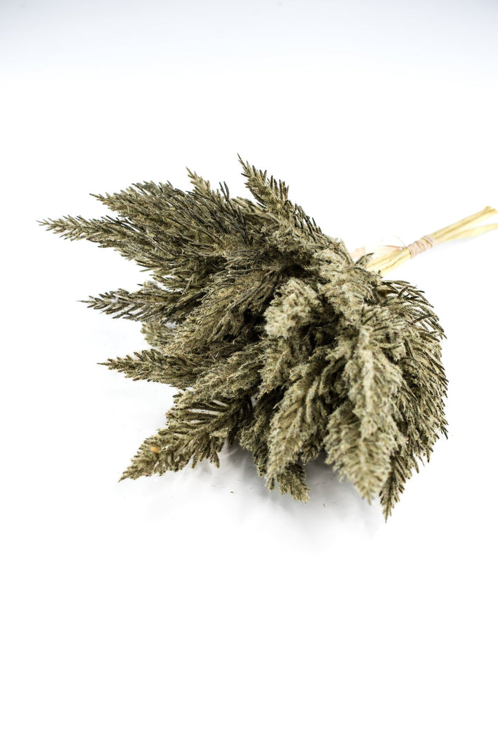 Astilbe bundle - dusty green - Greenery Market84745 - GN