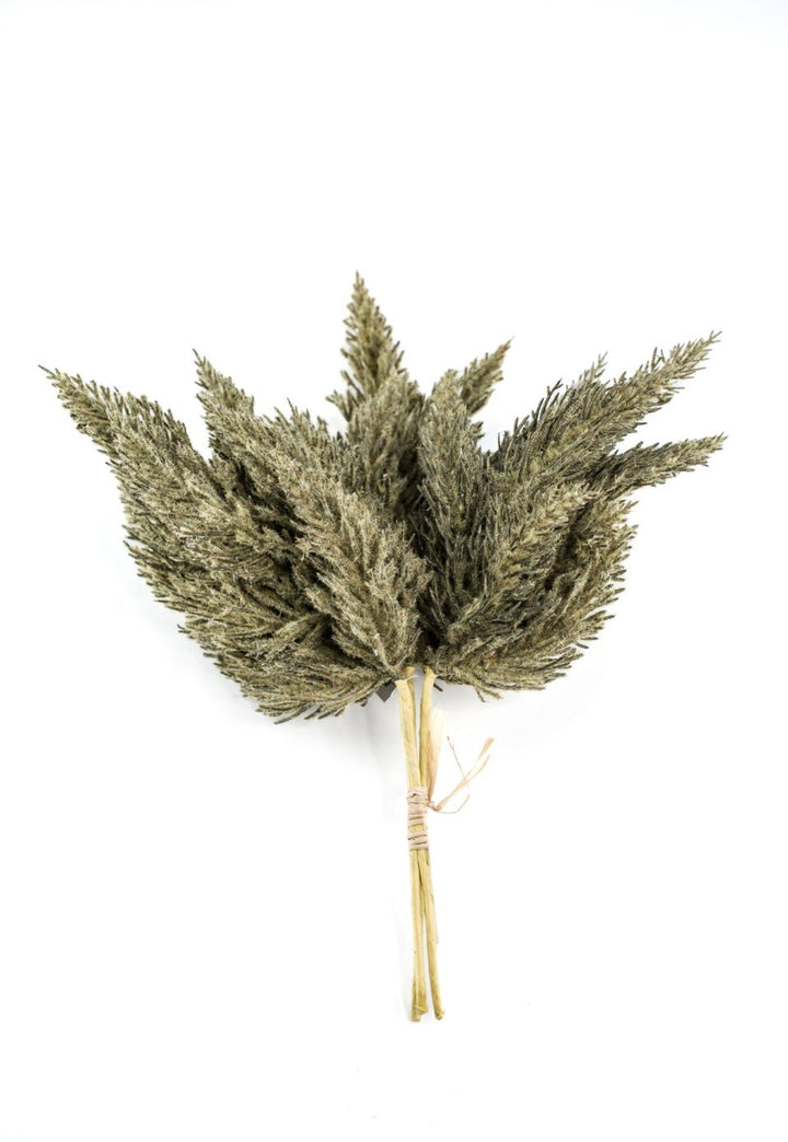 Astilbe bundle - dusty green - Greenery Market84745 - GN