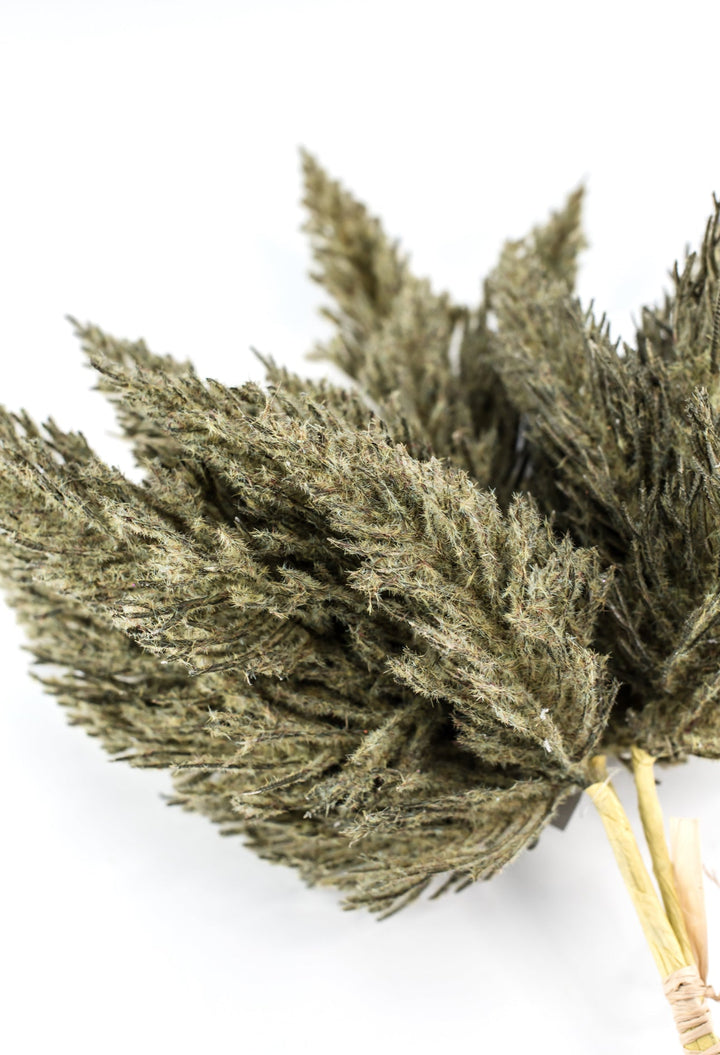 Astilbe bundle - dusty green - Greenery Market84745 - GN