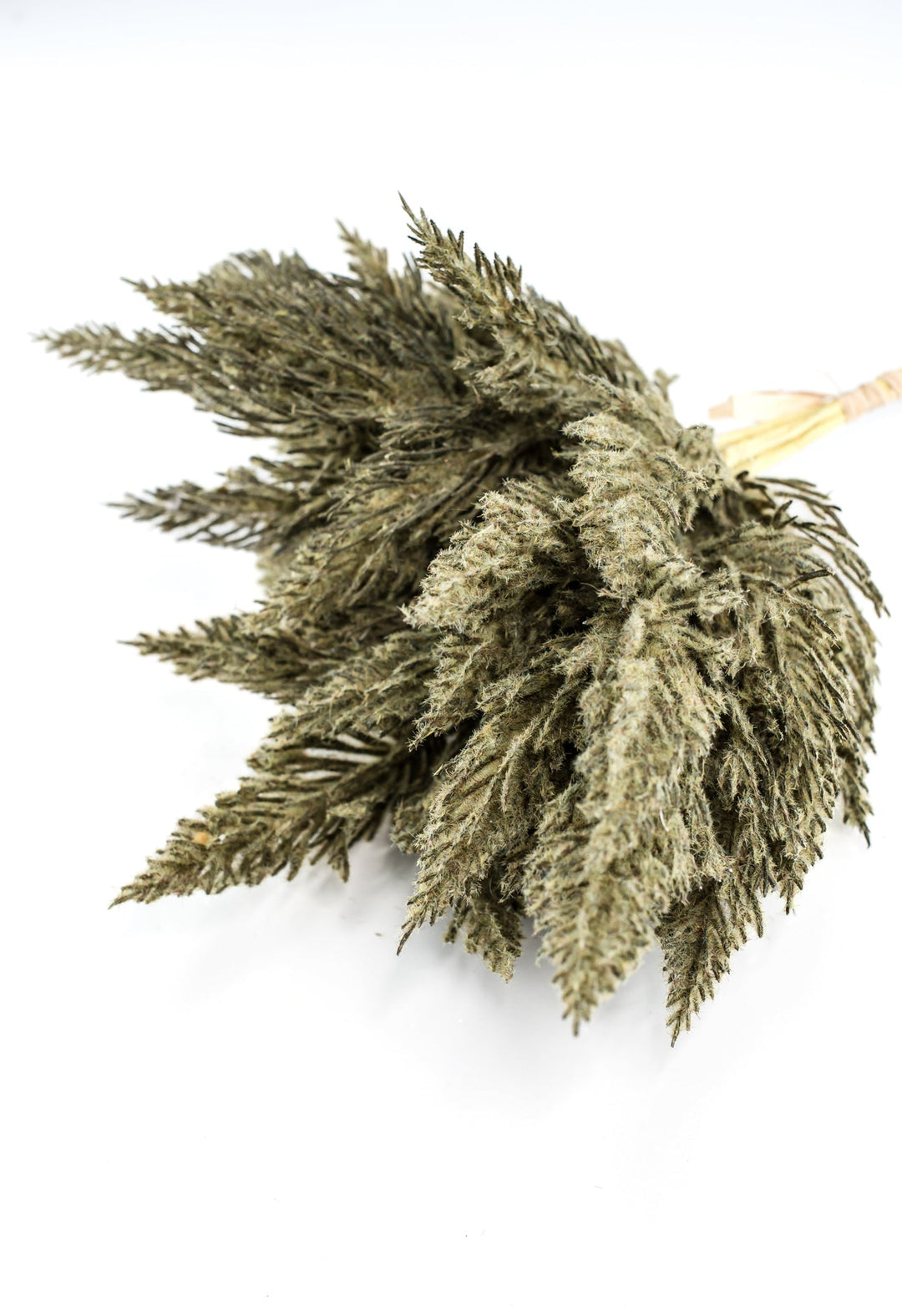 Astilbe bundle - dusty green - Greenery Market84745 - GN