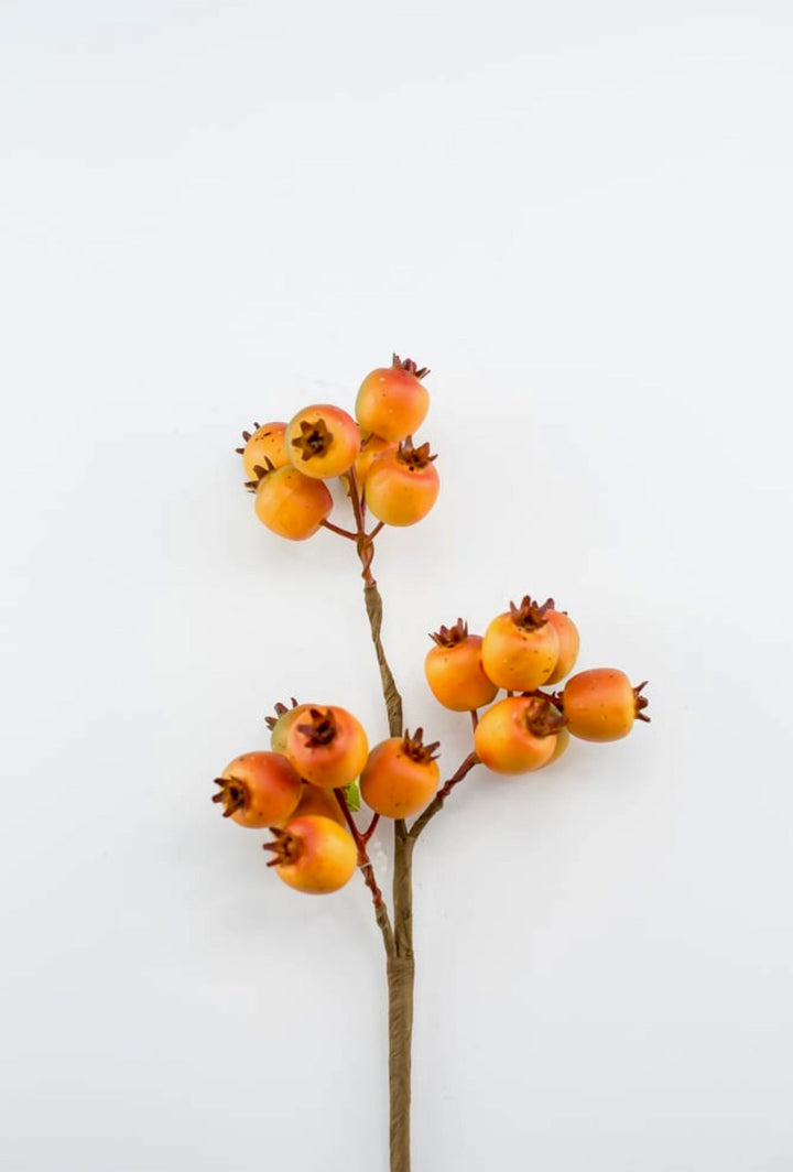 Autumn crabapple berry pick - Greenery Market57159OR