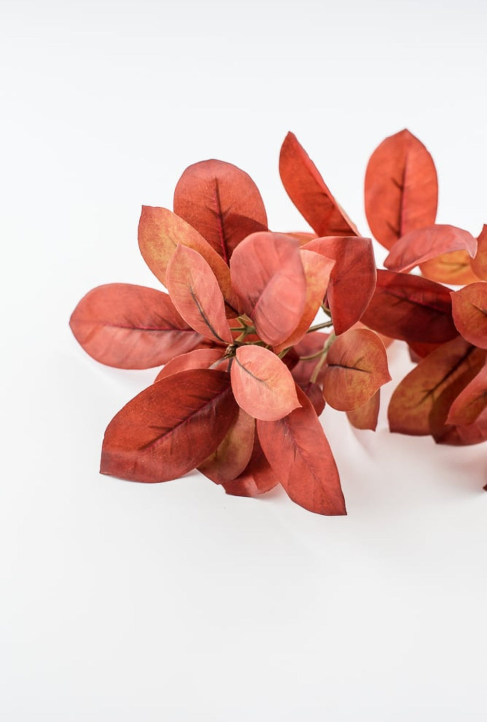 Autumn leaf spray - burgundy rust - Greenery MarketArtificial FloraFl5745 - BURT