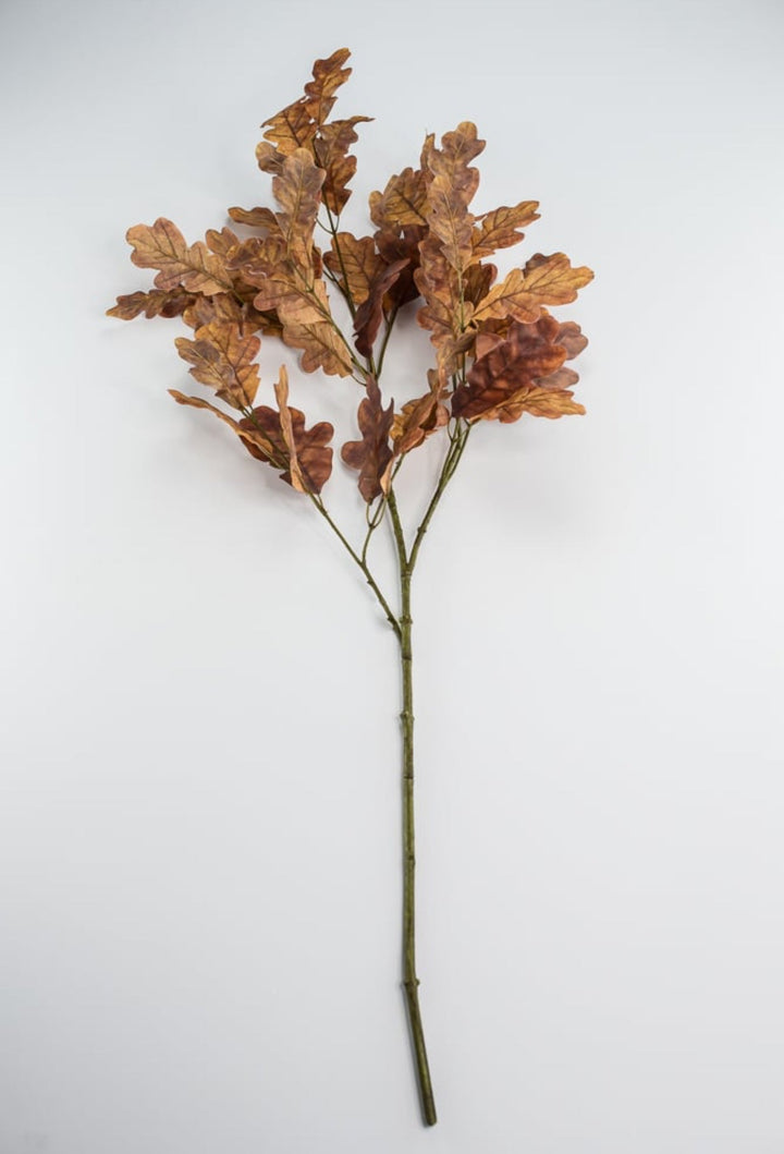 Autumn oak leaves spray - brown gold - Greenery Market2754022BR