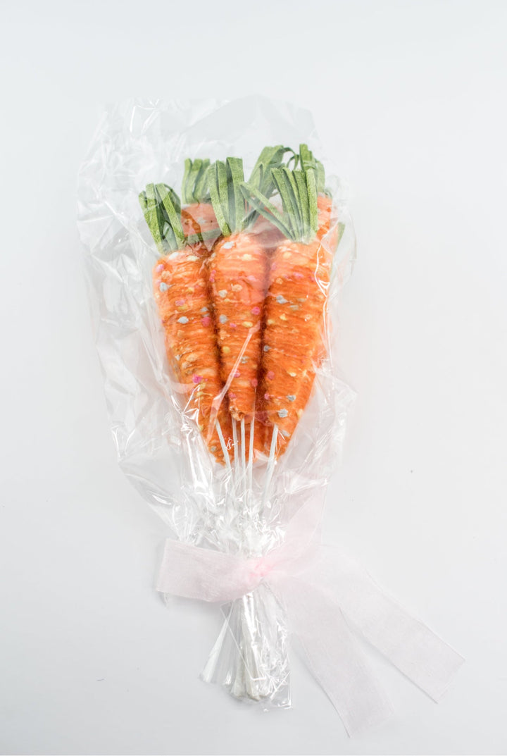 Bag of Carrot picks - Greenery MarketWreath attachments40278
