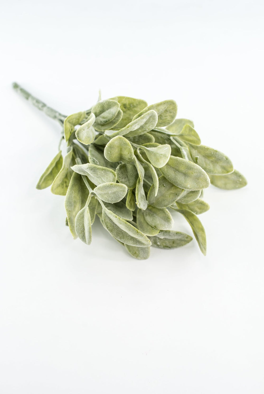 Bay leaves bush green - Greenery Marketgreenery2320107FG