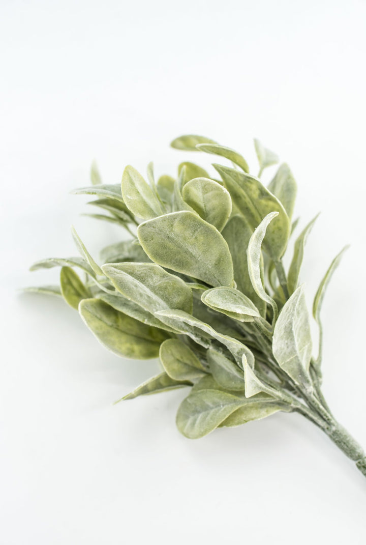 Bay leaves bush green - Greenery Marketgreenery2320107FG