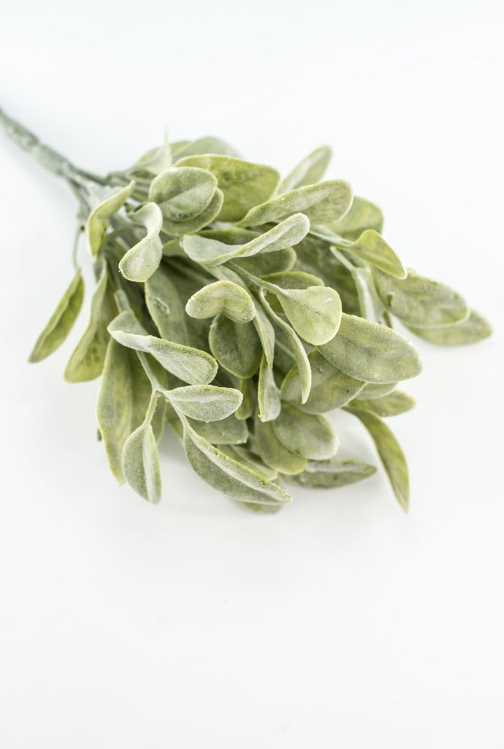 Bay leaves bush green - Greenery Marketgreenery2320107FG