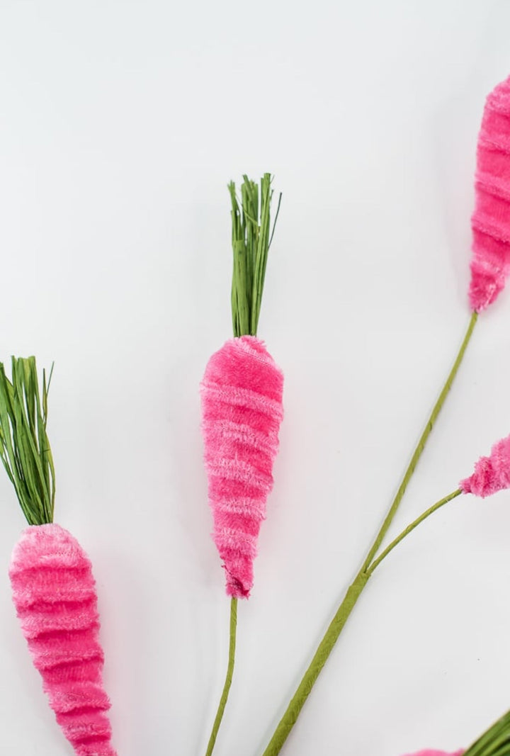 Beauty Hot pink carrots spray - Greenery MarketPicks63437BT