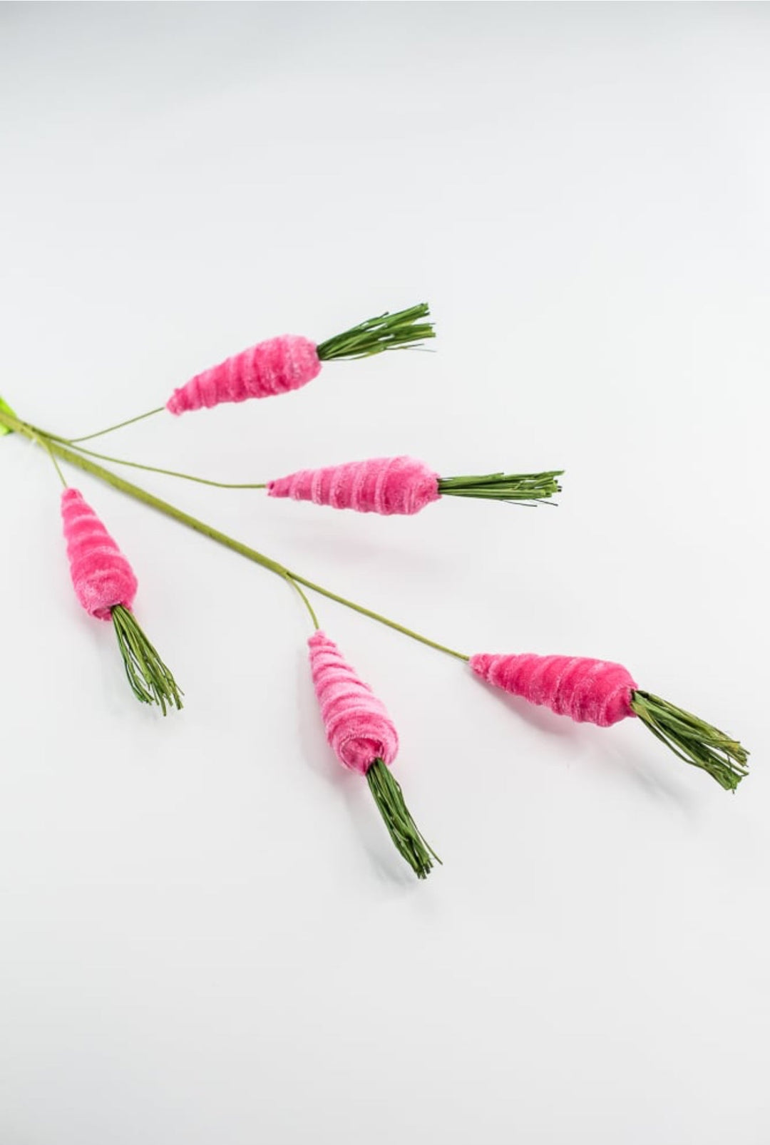 Beauty Hot pink carrots spray - Greenery MarketPicks63437BT