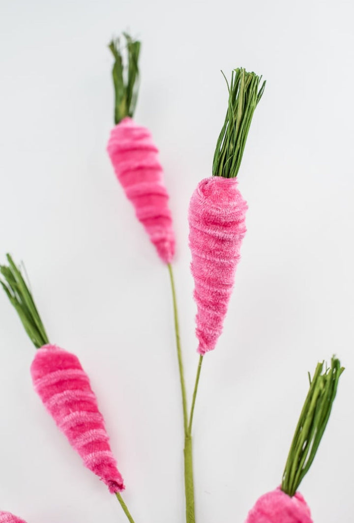 Beauty Hot pink carrots spray - Greenery MarketPicks63437BT