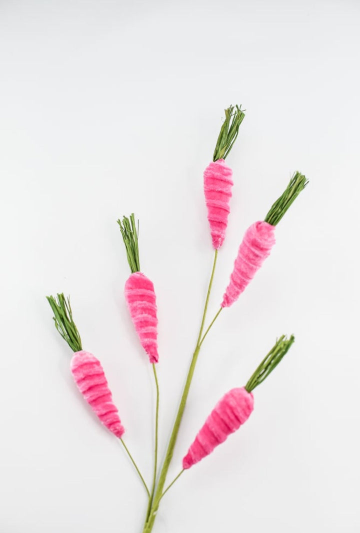 Beauty Hot pink carrots spray - Greenery MarketPicks63437BT